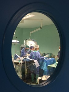 28º fase MSCV en Sal