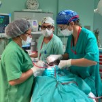 MSCV 40ª (1)
